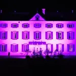 Le Château D'orleix 3* Orleix