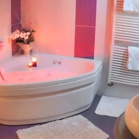 Le Chateau D'orleix Orleix