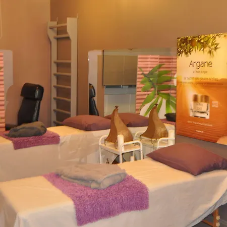 Le Chateau D'orleix Orleix