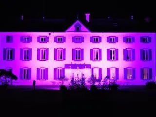 Le Chateau D'orleix 3* Orleix
