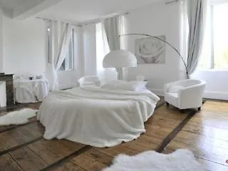 Le Chateau D'orleix Penzion 3*